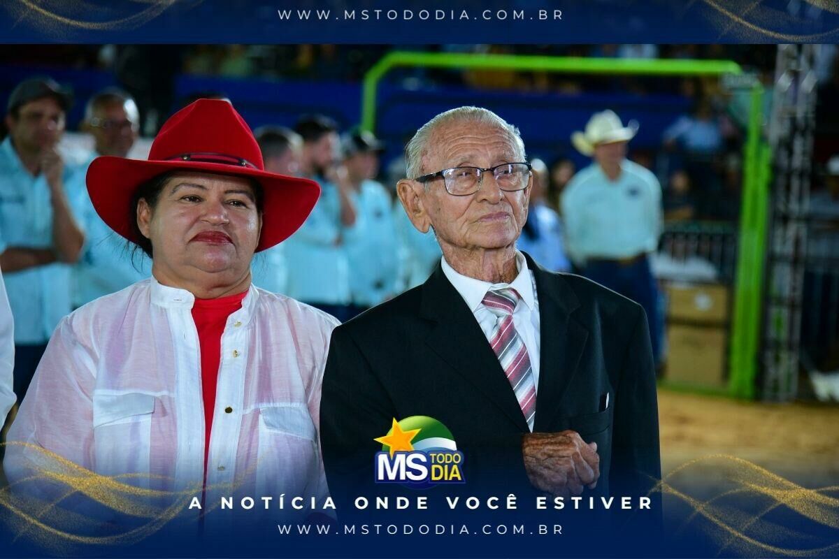 Imagem da Galeria